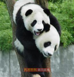 小长假 成都周边游推荐