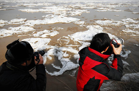 黄河山西永济段全线出现流凌