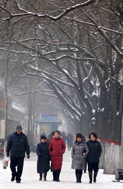 各地迎来新年初雪