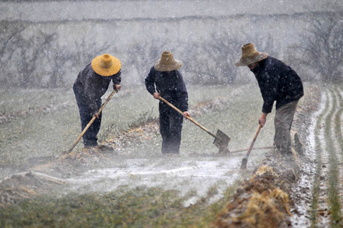 山西省出现大范围雨雪天气 旱情有望缓解