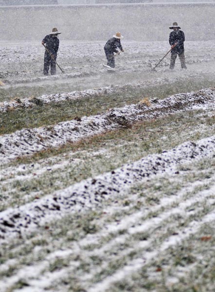 山西省出现大范围雨雪天气 旱情有望缓解