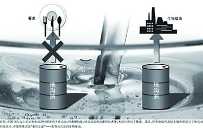 青岛“地沟油”出口荷兰供应飞机做燃料