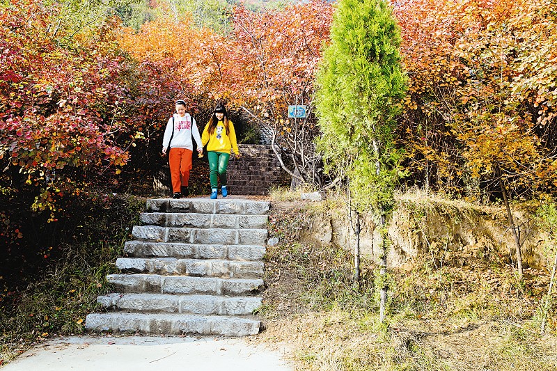 太原西山之秋 风景美不胜收