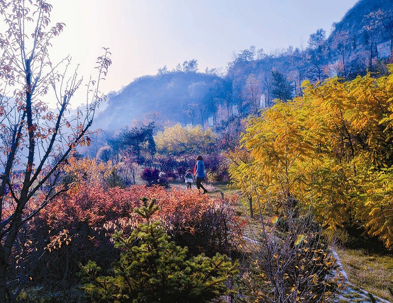 太原西山之秋 风景美不胜收