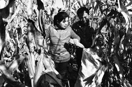 “我的心在山里”——山村女教师李锦明35年的坚守