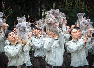 煤炭资源税改实施 山西上报税率8%