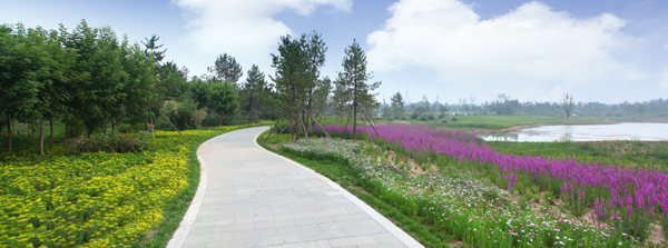 昔日华北煤都 今日生态花园 ——大同市致力生态建设改善人居环境