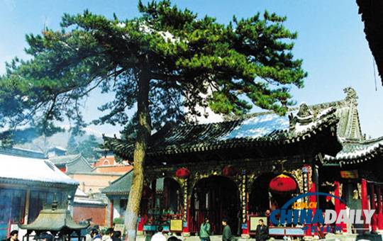 秋游五台山 景色更绚烂