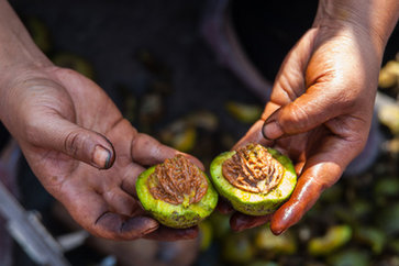 罗杰·拜伦:摄人心魄的超现实主义