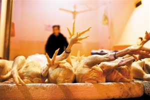 深圳活禽市场今日全面休市