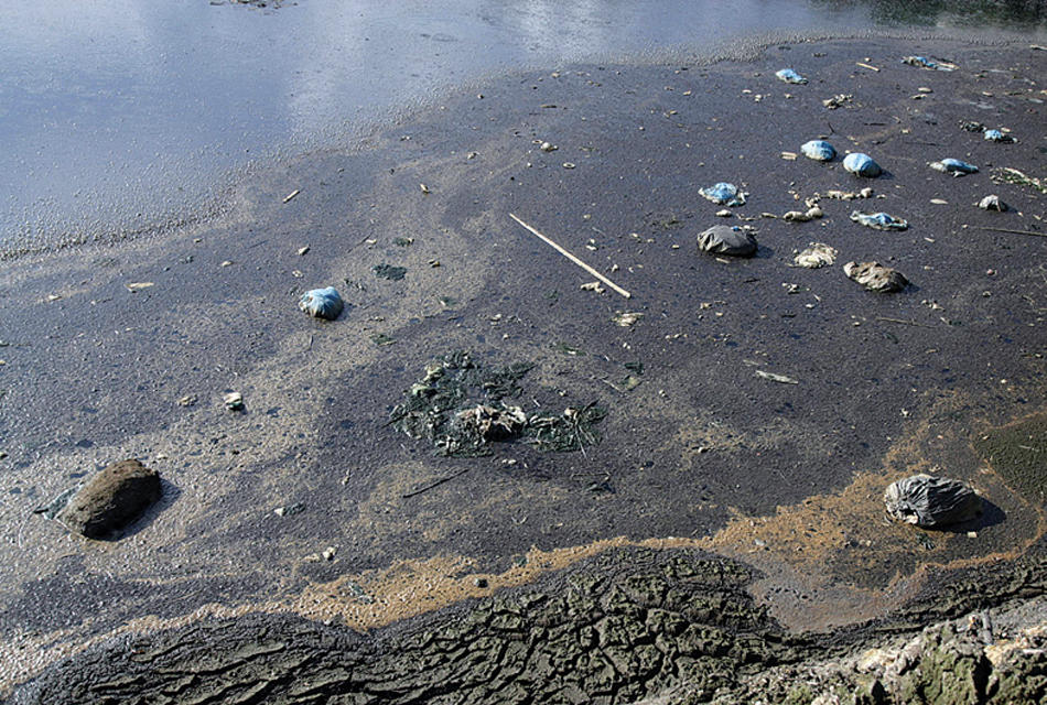 深圳一污水厂将千吨污泥倒至惠州大亚湾