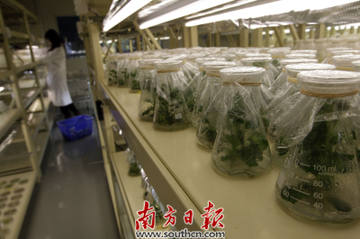 深圳市财政每年5亿专项资金支持深圳未来产业