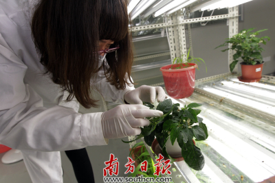 深圳市财政每年5亿专项资金支持深圳未来产业