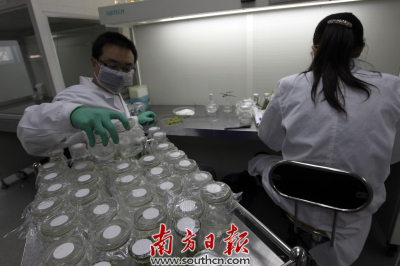 深圳市财政每年5亿专项资金支持深圳未来产业