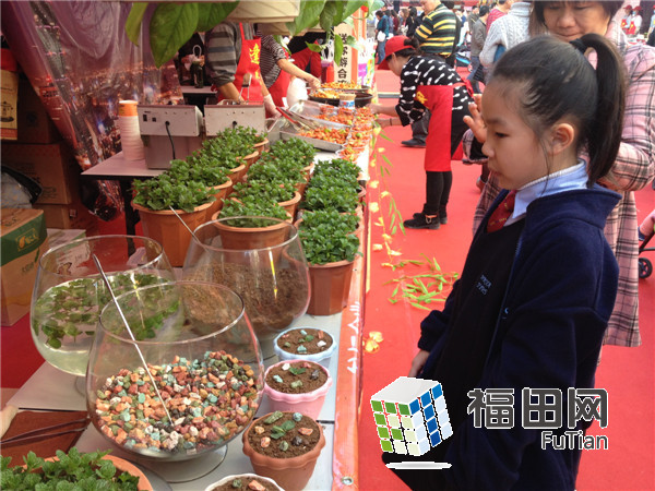 台湾逢甲夜市登陆福田水围 各款经典美食引爆味蕾