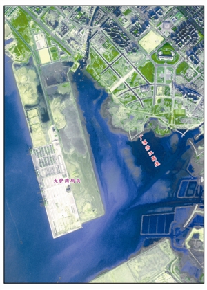 为建设让步的红树林带何期复植 带你看“湿地之痛”