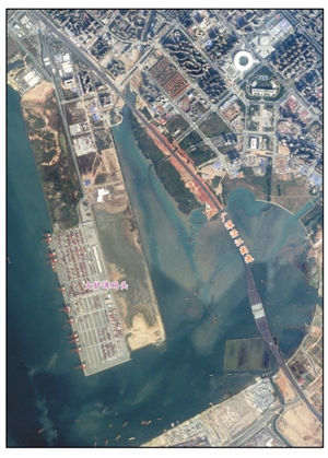 为建设让步的红树林带何期复植 带你看“湿地之痛”