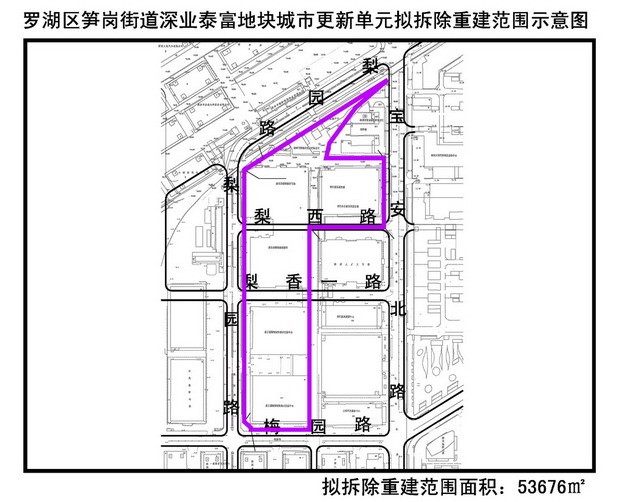 今年首批城市更新项目大望村未上榜 被深圳水库绑住手脚