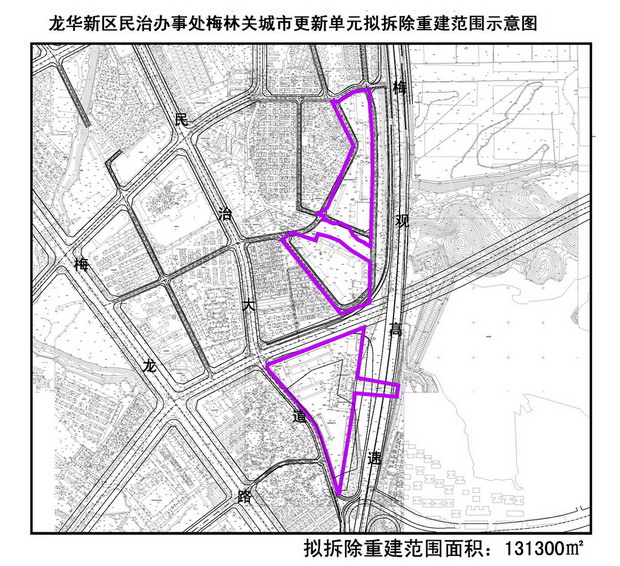 今年首批城市更新项目大望村未上榜 被深圳水库绑住手脚