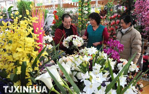 天津举办迎春花卉节