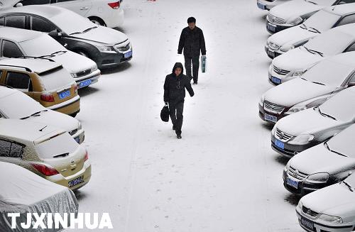 天津迎来兔年首场降雪