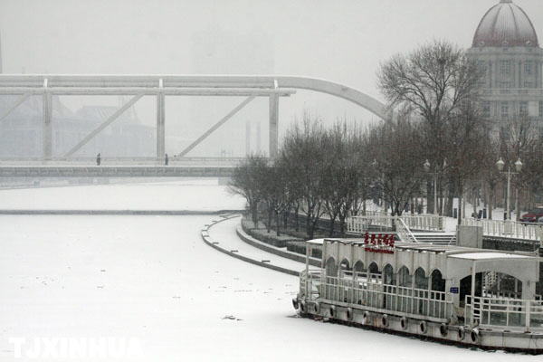 天津迎来兔年首场降雪