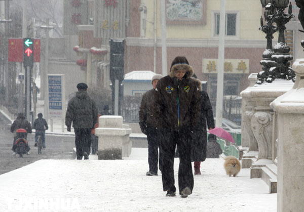 天津迎来兔年首场降雪