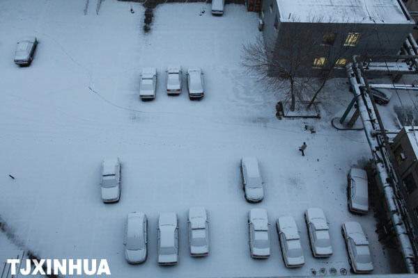 天津迎来兔年首场降雪