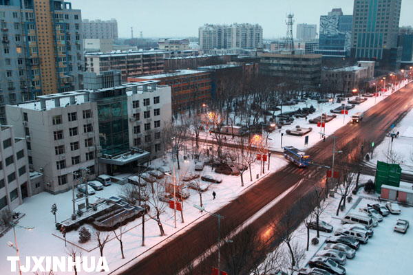 天津迎来兔年首场降雪