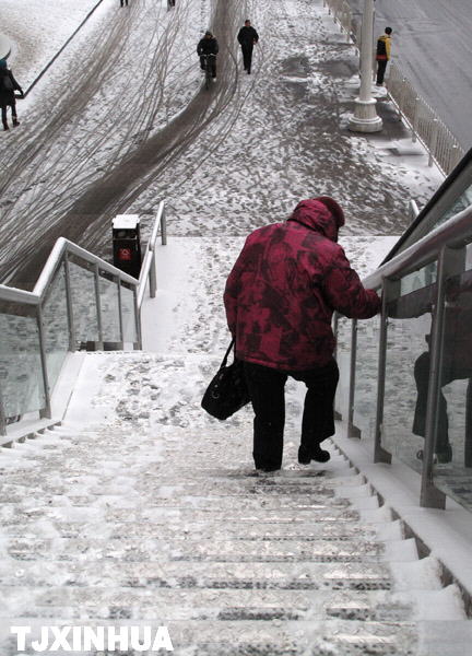 天津迎来兔年首场降雪
