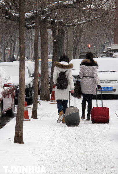 天津迎来兔年首场降雪