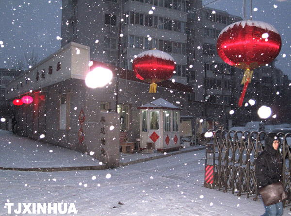 天津迎来兔年首场降雪