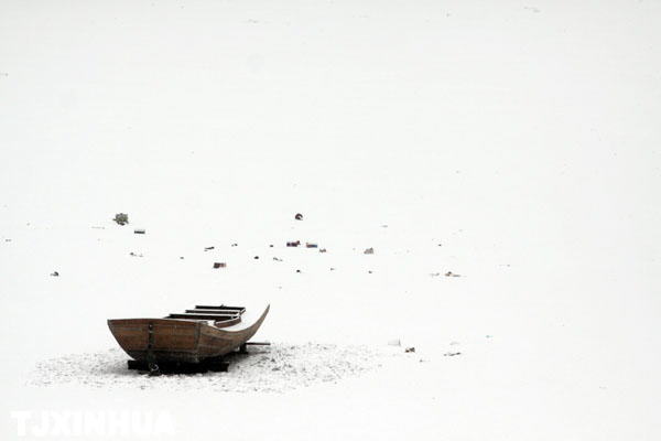 天津迎来兔年首场降雪