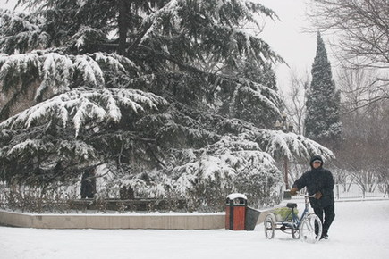 天津市民雪中健身