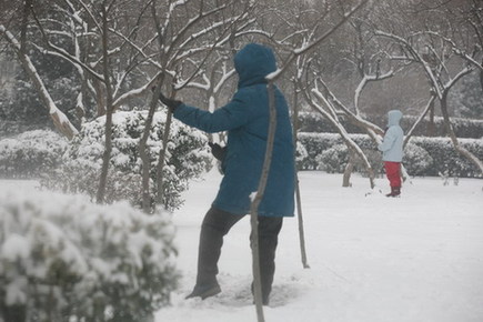 天津市民雪中健身