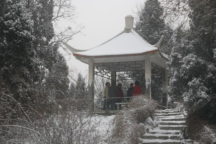 天津市民雪中健身