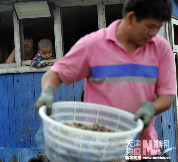 天津：正在消失的渔村——大神堂村