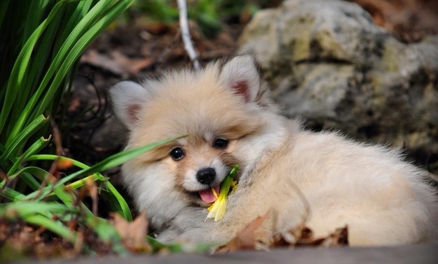 4月1日起天津市最低工资调至1680元