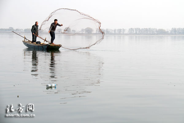 注册地理标志证明商标 潮白河鲫鱼一周后面市