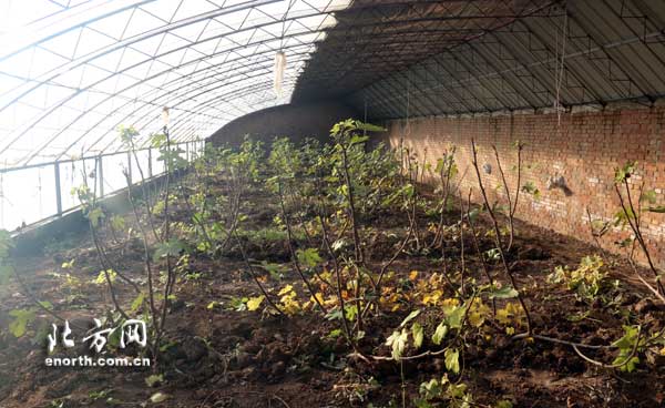 北辰群众路线教育实践活动:改作风改到了心坎上