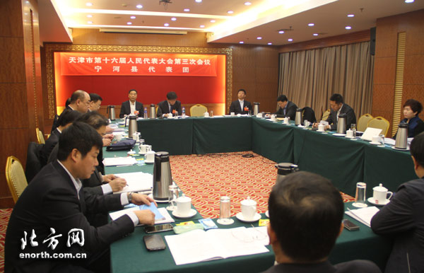 张炳江：调整产业结构 打造天津未来科技城