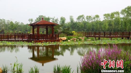 天津武清冬季造林逾4万亩 绿色发展为京津 输
