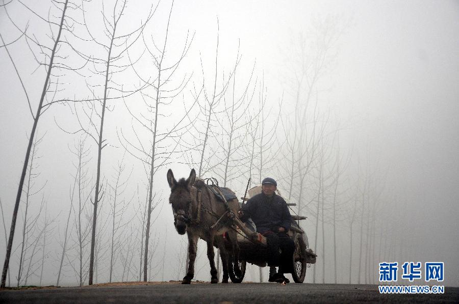 日本学者向天津大学捐赠30万设立奖学金