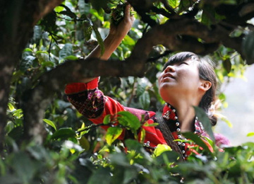 日本学者向天津大学捐赠30万设立奖学金