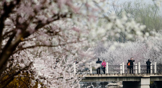 日本学者向天津大学捐赠30万设立奖学金