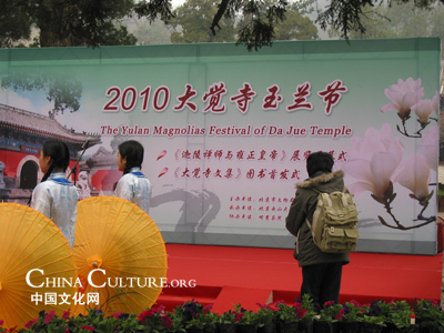 大觉寺明慧茶茶院玉兰品茗文化节开幕