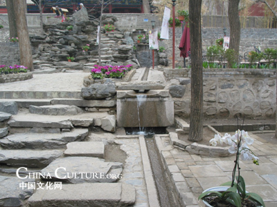 大觉寺明慧茶茶院玉兰品茗文化节开幕