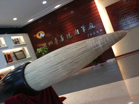 善琏湖笔[组图]