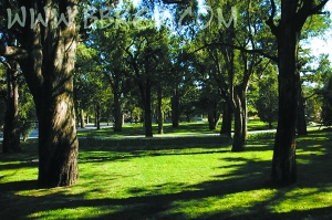 当年那天坛[图]