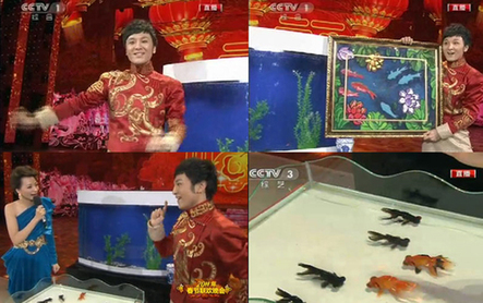 魔术世家傅氏家族几代人着魔 春晚魔术骗亿万人
